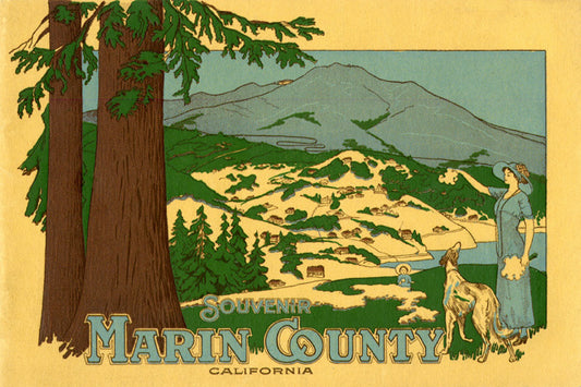 Vintage Marin County Poster